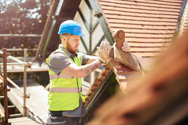 Best Roof Maintenance Services  in North Lakeville, MA